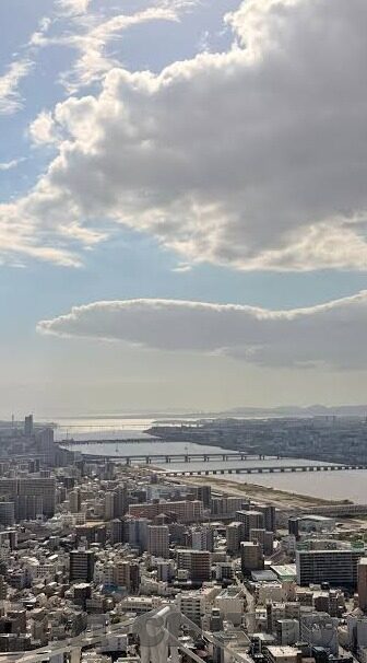 ag视讯森林舞会-森林舞会，AG视讯中的自然韵律与和谐共生
